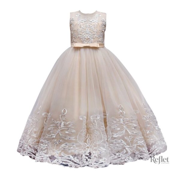 Robe d'anniversaire princesse