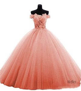 Robe de Mariée Princesse Multicolore Élégante