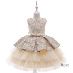 Robe de Fête Princesse Fille