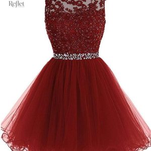 Robe Tulle Femme Princesse Élégante